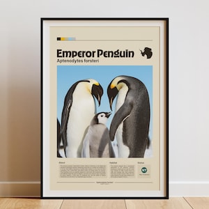 Stampa murale con pinguino imperatore / Poster con pinguino / Decorazione artistica moderna con fauna selvatica / Casa e ufficio / Stampa minimalista con animali / Poster con infografica