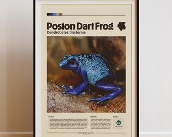 Giftpfeil-Frosch-Wand-Kunst | Digitaldruck | Minimalistischer Tierdruck | Infografik Poster