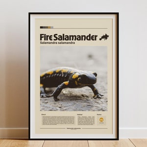Fire Salamander Wall Art | Digital Print | Minimalist Animal Print | Infographic Poster