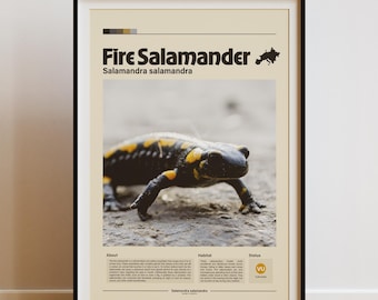Feuersalamander Wand Kunst | Digitaldruck | Minimalistischer Tierdruck | Infografik Poster