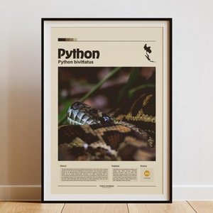 May include: Framed poster featuring a close-up of a python's head and body, showcasing its patterned scales. The poster includes the word "Python" and the scientific name "Python bivittatus" in a minimalist design. The background is a neutral beige.