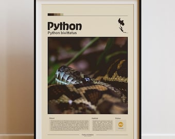 Art mural python birman | Impression numérique | Imprimé animal minimaliste | Affiche infographique