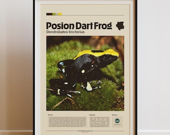 Poison Dart Frog Wall Art | Digital Print | Minimalist Animal Print | Infographic Poster