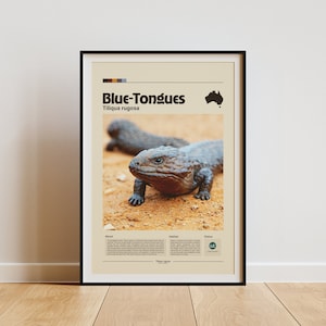 Arte murale dello scinco dalla lingua blu / Stampa digitale / Stampa minimalista di animali / Poster infografico