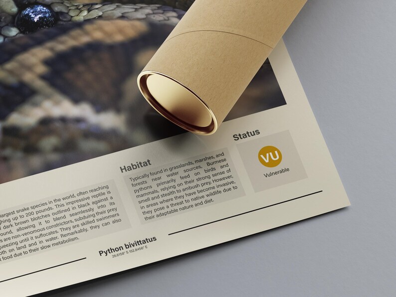 Burmese Python Wall Art | Digital Print | Minimalist Animal Print ...