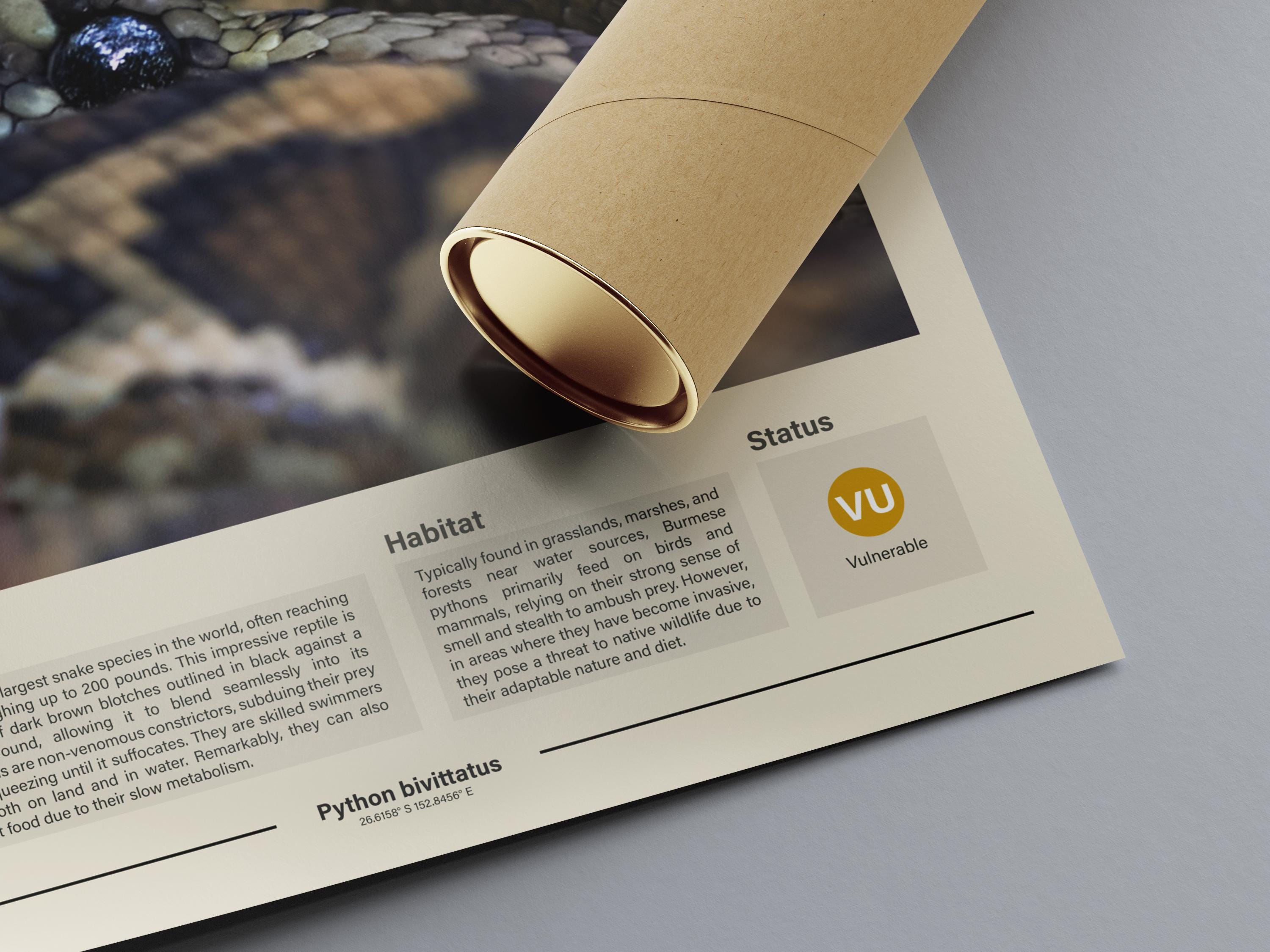 Burmese Python Wall Art | Digital Print | Minimalist Animal Print ...