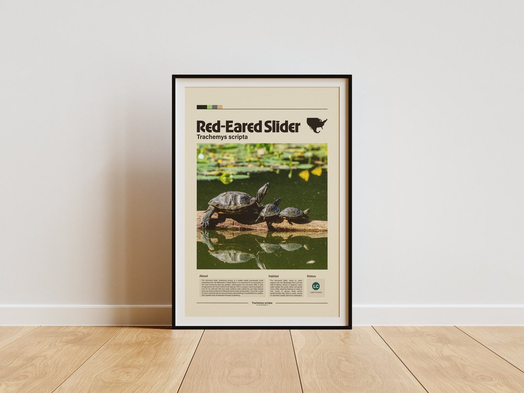 Red-eared Slider Wall Art | Digital Print | Minimalist Animal Print | Infographic Poster - Etsy