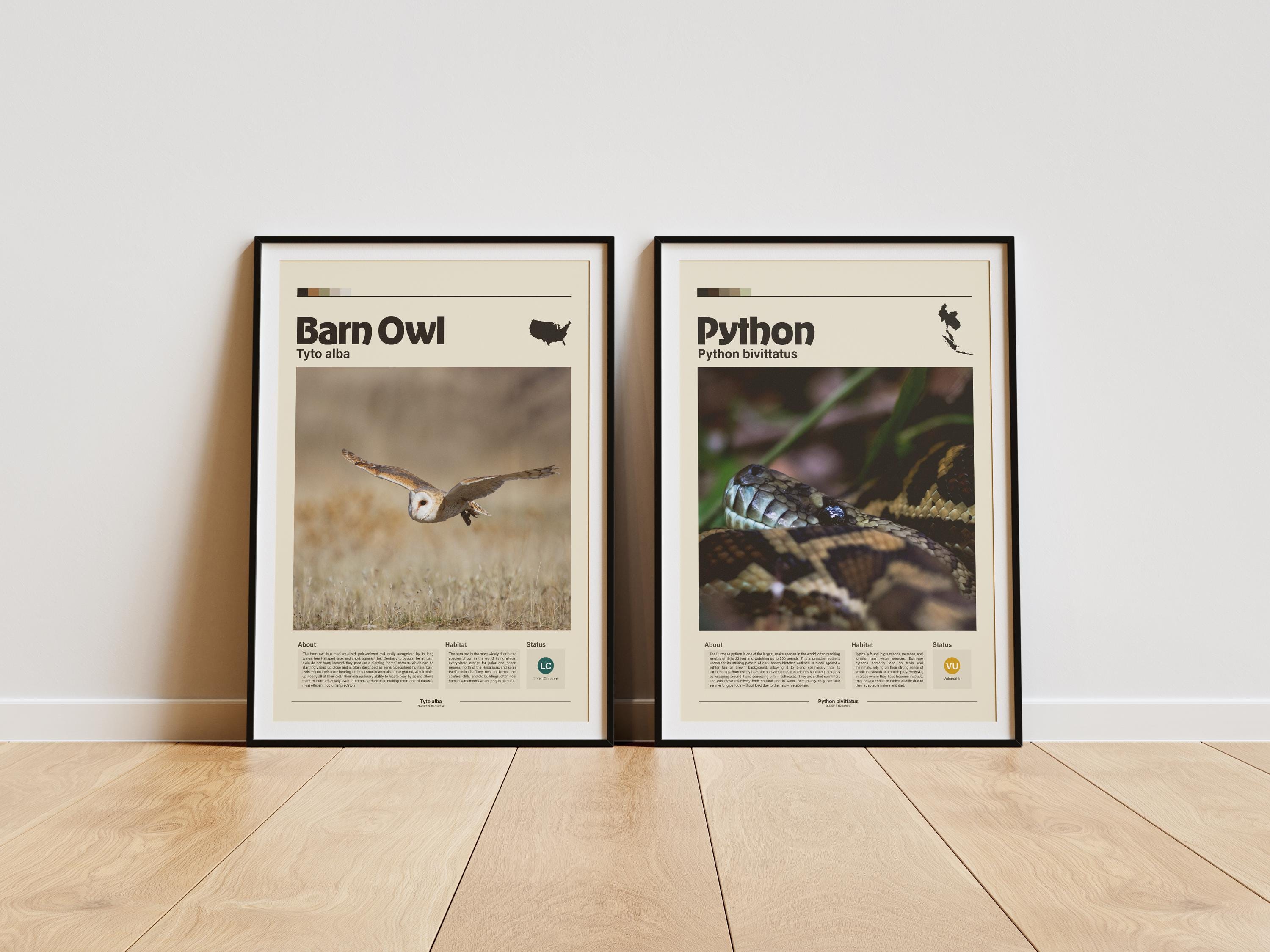 Burmese Python Wall Art | Digital Print | Minimalist Animal Print ...