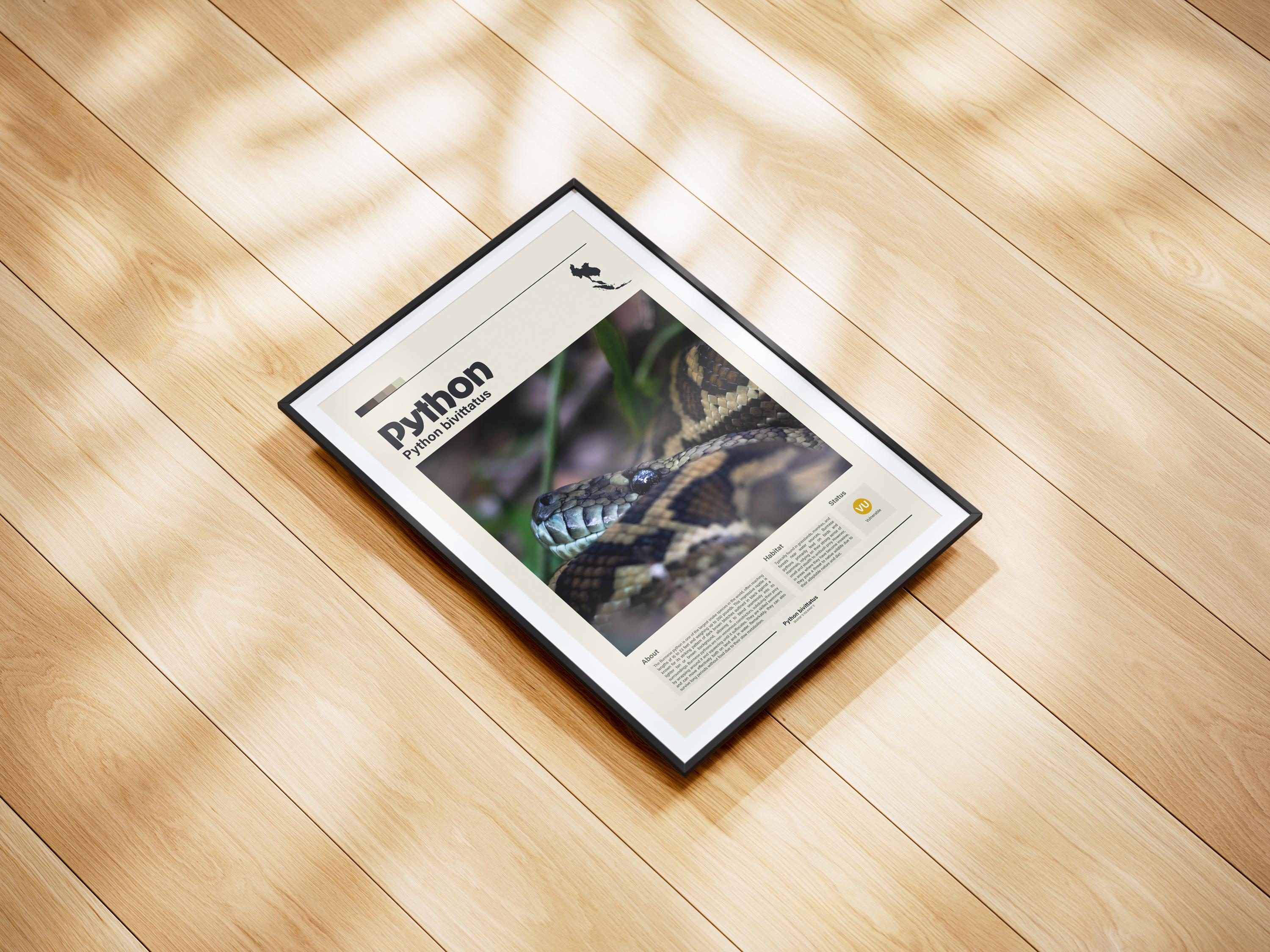 Burmese Python Wall Art | Digital Print | Minimalist Animal Print ...