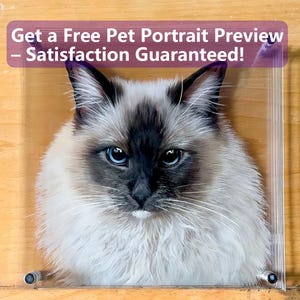 Op de afbeelding: Een close-up portret van een witte en grijze kat met blauwe ogen. De kat kijkt recht in de camera. De afbeelding is ingelijst in een helder acryl frame en ligt op een houten oppervlak. De tekst "Get a Free Pet Portrait Preview - Satisfaction Guaranteed!" wordt boven de afbeelding weergegeven.