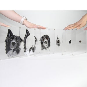 Puede incluir: Una serie de paneles acrílicos transparentes, cada uno con un segmento pintado de la cara de un perro blanco y negro. Los paneles están dispuestos para mostrar una progresión de los rasgos del perro, de la cabeza a la oreja.