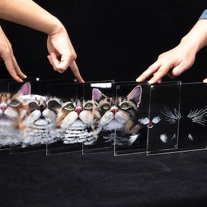 Op de afbeelding: Een set van zes transparante glazen frames met geschilderde afbeeldingen van katten. De frames worden vastgehouden door twee handen, &eacute;&eacute;n aan elk uiteinde van de set.