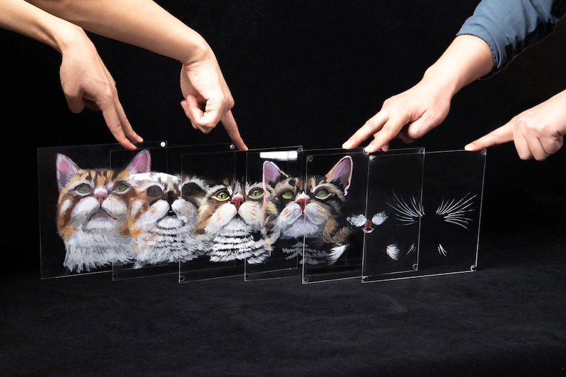 Op de afbeelding: Een set van zes transparante glazen frames met geschilderde afbeeldingen van katten. De frames worden vastgehouden door twee handen, &eacute;&eacute;n aan elk uiteinde van de set.