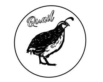 California Quail SVG PNG PDF Digital Download - Cute Design for Quail Lovers - Perfect Craft File