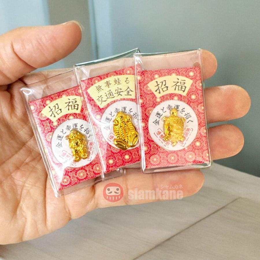 Lucky charm from CHINA 富貴長春　６種類　３点セット Amazon.com: CNYTPE Five Emperors Coins Feng Shui Gourd - Gourd