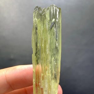 以下が含まれることがあります： 柱状構造の、半透明な淡い黄色の結晶。 結晶は、垂直の縞模様のある、ざらざらとした質感の表面を持っています。 全体的な形状は細長く長方形で、わずかにギザギザの上面があります。 結晶は手で持たれています。