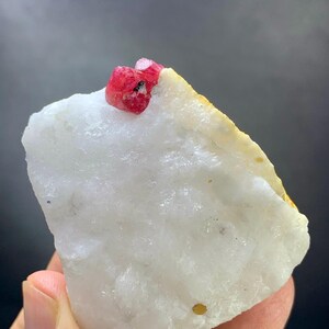 Puede incluir: Un espécimen mineral en bruto que presenta una gran matriz de cuarzo blanco translúcido con una textura cristalina irregular. Un pequeño cristal de rubí rojo vibrante está incrustado cerca del borde superior, mostrando un tono carmesí.
