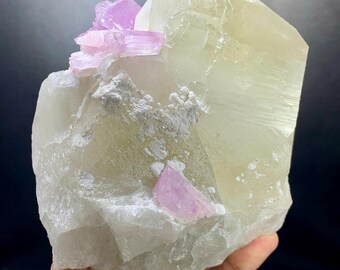Natural Kunzite Crystals on Quartz specimen from Afghanistan , 1752 Grams