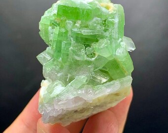 Green Tourmaline Crystals bunch on Matrix specimen: 64 gms