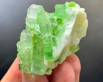 Green Tourmaline Crystals bunch on Matrix specimen: 33 gms