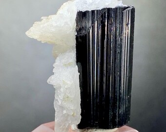 Natural Tourmaline crystal with Spray of Quartz Crystals from Shigar Mine Skardu - 24 grams