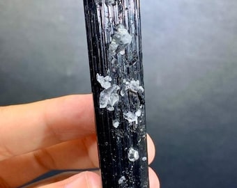Natural Tourmaline crystal with Spray of Quartz Crystals from Shigar Mine Skardu - 42 grams