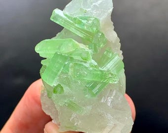 Green Tourmaline Crystals bunch on Quartz specimen: 37 gms