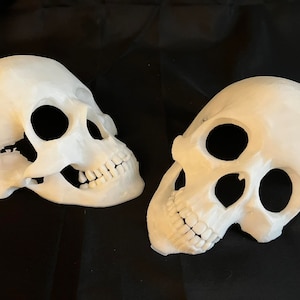 Reptile Hides