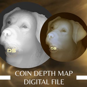Older Labrador Portrait | 3D Coin Depth Map | Grayscale PNG File for Lightburn 3D Slice Mode | Digital Download