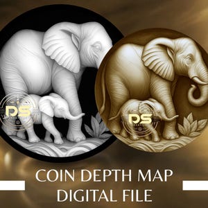 Mappa della profondità delle monete / File PNG con risoluzione ottimizzata / Per la modalità Lightburn 3D Slice / (File digitale)