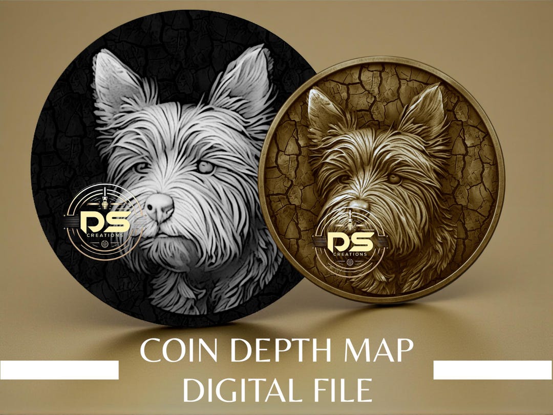 Coin Depth Map | Optimised Resolution PNG File | for Lightburn 3D Slice ...