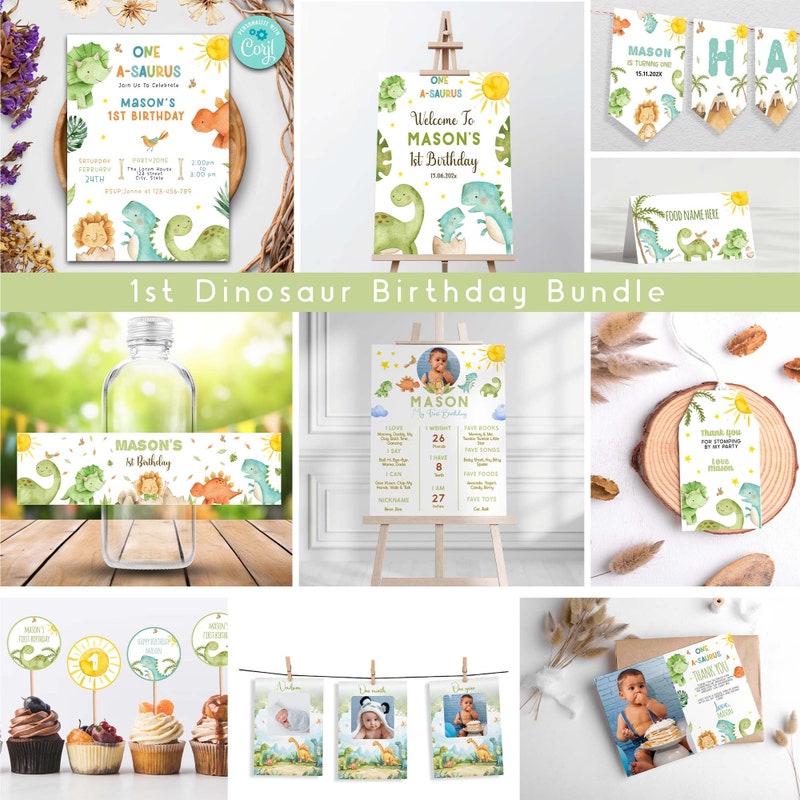 Dinosaur Theme Party - Etsy