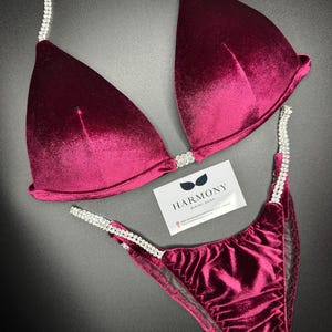 Puede incluir: Bikini de terciopelo burdeos con adornos de cristal. La parte superior tiene un estilo halter con una copa triangular. La parte inferior es de corte alto con un panel transparente. El bikini es de Harmony Bikini Shop.