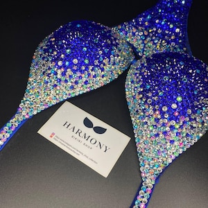 May include: Blue and silver bikini top with crystal embellishments. The top has a gradient design with blue crystals at the top and silver crystals at the bottom. The top is made by Harmony Bikini Shop.