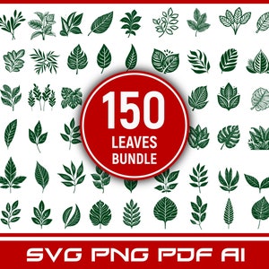 50 Leaves Leaf Botanical SVG PNG Clipart Bundle | botanical png | botanical bundle | botanical vector | botanical clipart | leaves vector