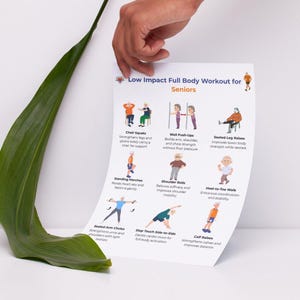 May include: A white paper titled "Low Impact Full Body Workout for Seniors" is held by a hand. The paper features illustrations of exercises like chair squats, wall push-ups, and seated leg raises. A large green leaf is in the foreground.