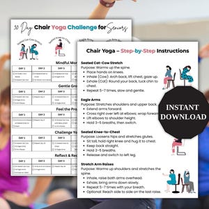 30 Day Chair Yoga Challenge for Seniors, Senior Chair Workout Poster, Chair Workout Challenge, Summer Body Workout, Full Body Exercise Guide
