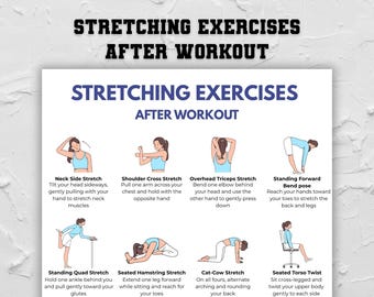 May include: A white poster with the text "STRETCHING EXERCISES AFTER WORKOUT" in black and blue. It features illustrations of various stretching exercises, including neck side stretch, shoulder cross stretch, and seated torso twist.
