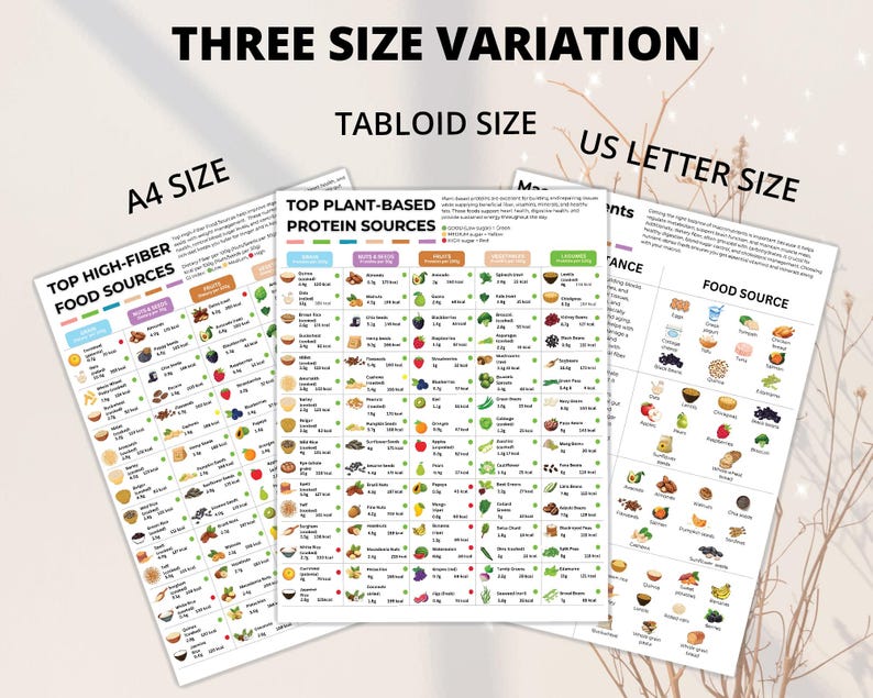 May include: Three informational charts with the text "THREE SIZE VARIATION". The charts are labeled "A4 SIZE", "TABLOID SIZE", and "US LETTER SIZE". The charts list food sources, including "TOP HIGH-FIBER FOOD SOURCES" and "TOP PLANT-BASED PROTEIN SOURCES".
