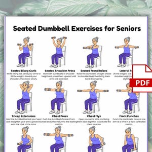 Op de afbeelding: Een gedrukte gids getiteld "Zittende Dumbbell Oefeningen voor Senioren" bevat geïllustreerde oefeningen. De oefeningen omvatten bicep curls, schouderpers, front raises, lateral raises, tricep extensions, chest press, chest flys en front punches.