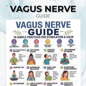 Op de afbeelding: Een Vaguszenuw-gids infographic met 16 eenvoudige oefeningen voor stimulatie en kalmte. De kaart bevat genummerde illustraties en tekstuele beschrijvingen voor technieken zoals diepe middenrifademhaling, koud water spatten en oormassage.