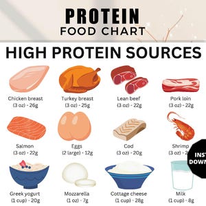 High Protein Food List, Low Carb Food List, Protein Food Guide, Keto Food List, High Protein Sources Foods List, Protein Food Chart
