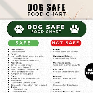Dog Food Guide, Safe Dog Food Dogs to Eat, Dog dietary chart poster, Dog Food Chart Unsafe Dog, Dog Foods to Avoids, Dog Meal Plan