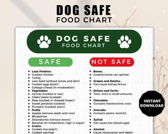 Dog Food Guide, Safe Dog Food Dogs to Eat, Dog dietary chart poster, Dog Food Chart Unsafe Dog, Dog Foods to Avoids, Dog Meal Plan