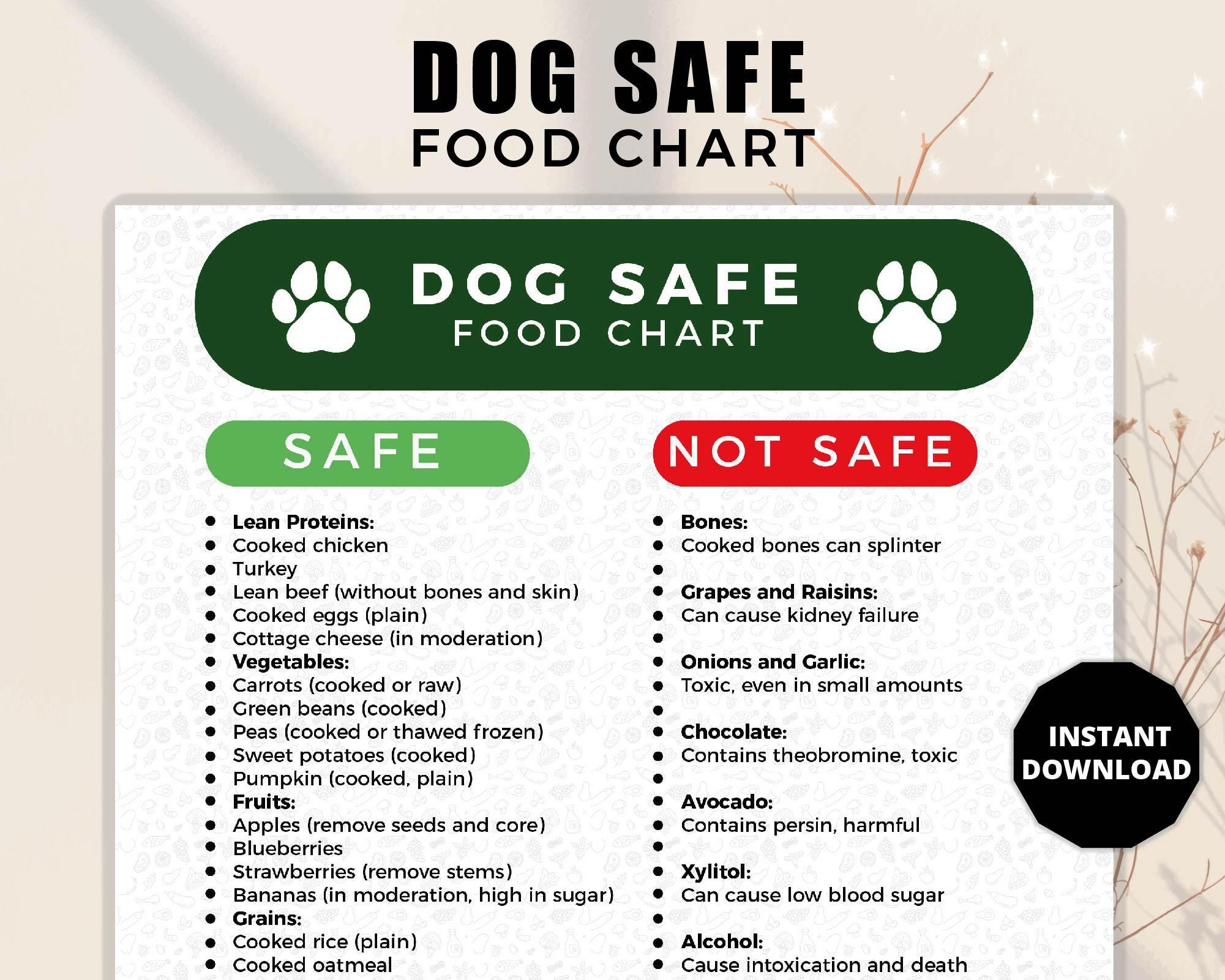 Poster A3 Per Allergie Alimentari | Laminato Resistente 250 Micron | Info Obbligatorie Per Ristoranti, Bar E Attività Di Catering - 4