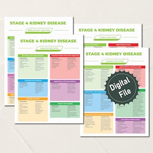 Stage 4 Kidney Disease Grocery List, Refrigerator, Renal Diet Kidney Disease Food List, Kidney Diet Printable, Frozen, Pantry or Cabinet