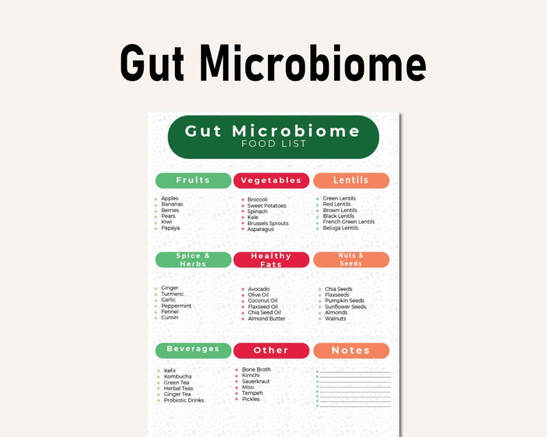 Gut Microbiome Foods List, Journey to Better Health With Expert Tip for ...