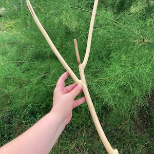 60 cm (23,62 inches) Cured Natural Wood Vivarium Decor | Snake Climb Branch | Reptile Closure Enrichment | Beige Terrarium Decor