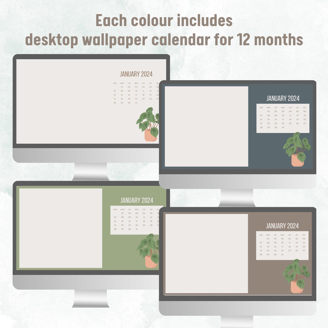 Desktop Wallpaper 2024 Calendar Plant Minimalist Aesthetic Simple