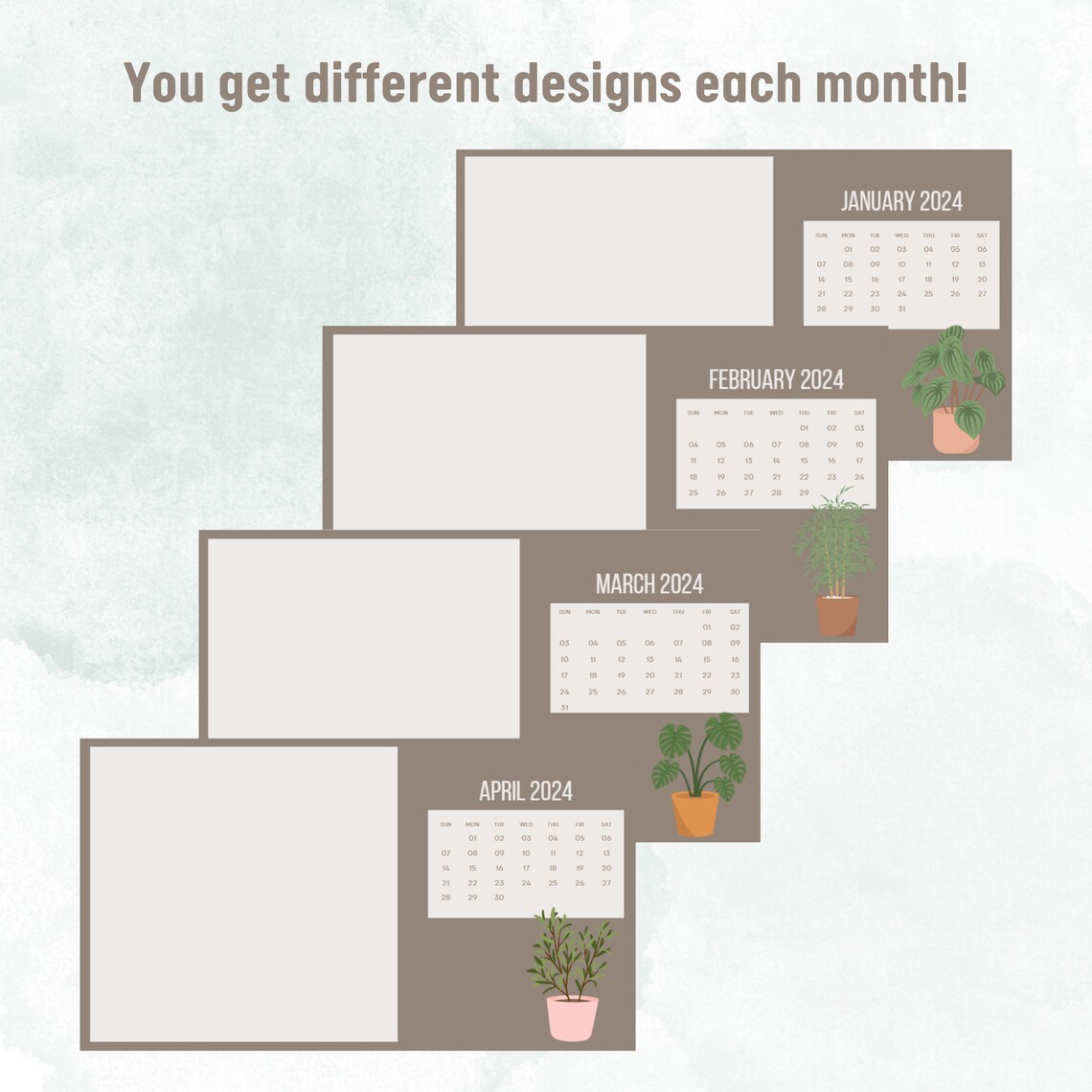 Desktop Wallpaper 2024 Calendar Plant Minimalist Aesthetic Simple